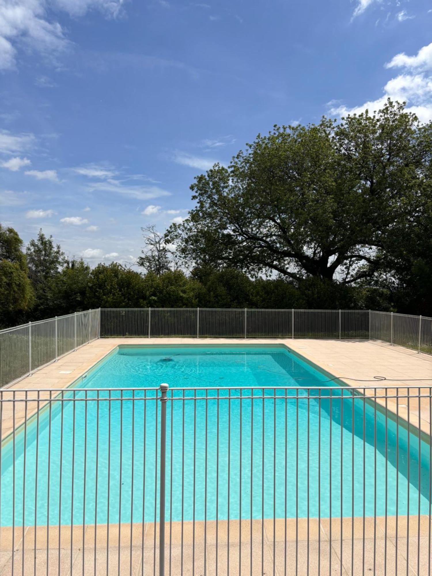 Charmant Appartement Toulouse Buitenkant foto