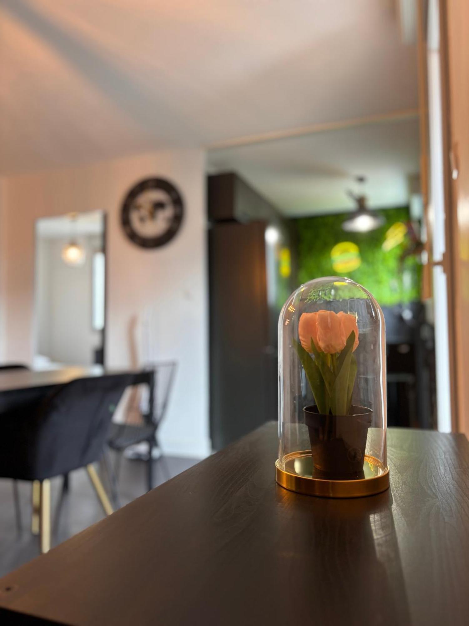 Charmant Appartement Toulouse Buitenkant foto